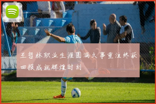 王哲林职业生涯圆满久事重注终获回报成就辉煌时刻