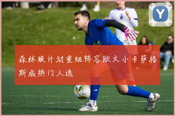 森林狼计划重组阵容欧文小卡萨格斯成热门人选